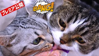 動画サムネイル