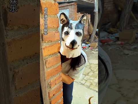 Chinki went to the shop disguised as a dog || Carriage House wooden artist || #cartoon #shortsvideo