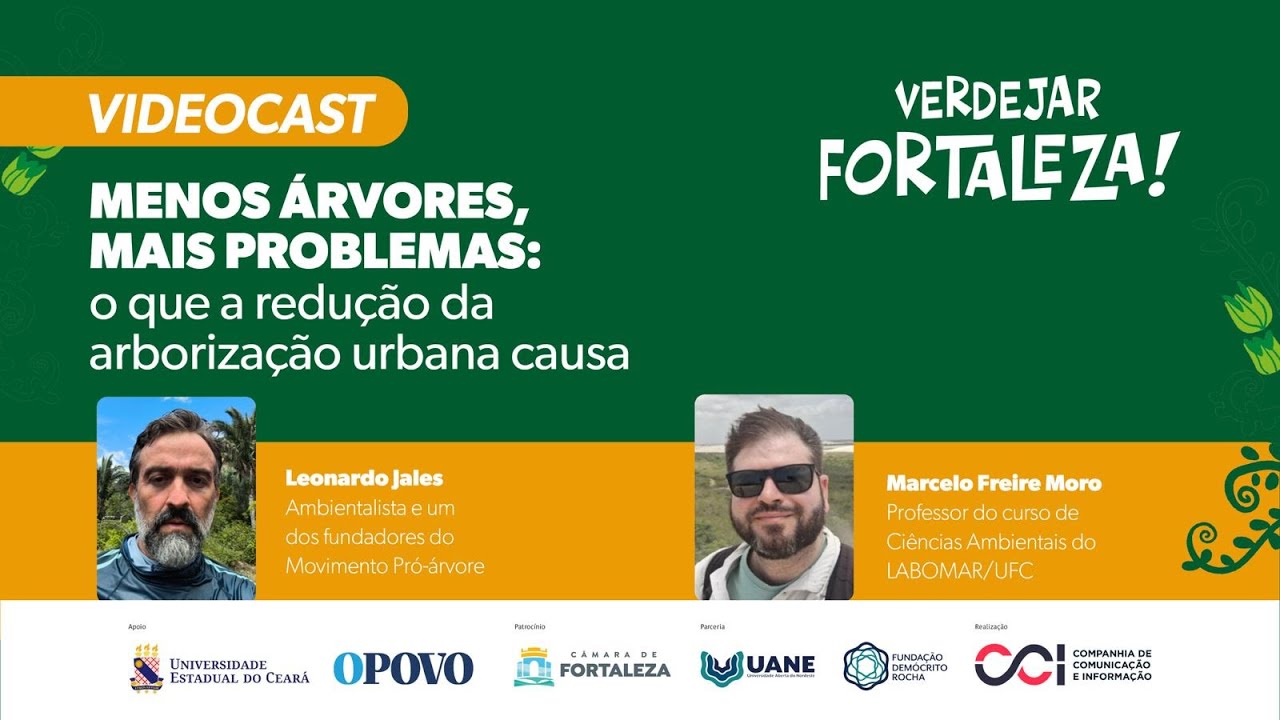 Verdejar   Menos árvores mais problemas o que a redução da arborização urbana causa