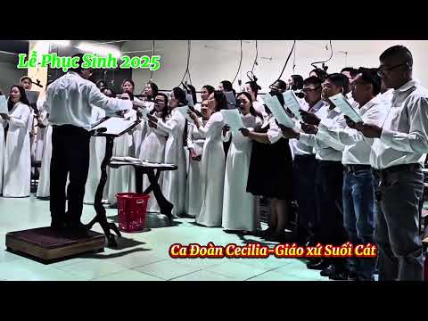 Bài ca Moi-sen #ngoctrucpharma #cadoancecilia #giaoxusuoicat