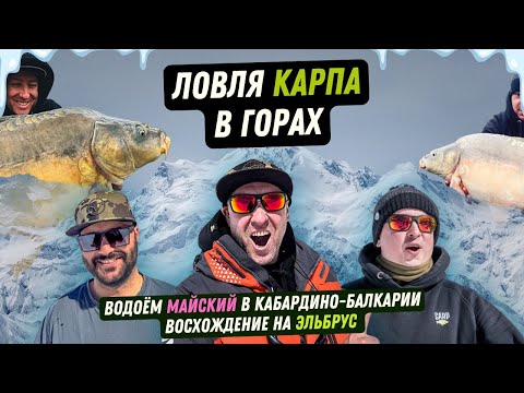 Лучшие бойлы 2025 Монстр Краб, Тигровый Орех, Мандарин, тест на водоёме Майский в Кабардино-Балкарии