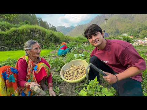 Amma ke saath kia khet me kaam in village 😍