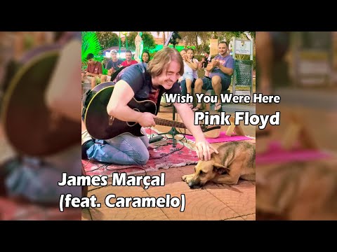 Wish You Were Here (Pink Floyd) James Marçal & Dog Caramelo