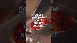 Just 4 weeks to go before Diploma enrolment opens for next year!