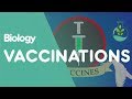 Understanding Vaccination and Immunological Memory