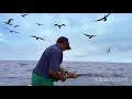 Understanding the Speaker's Fishing Experience