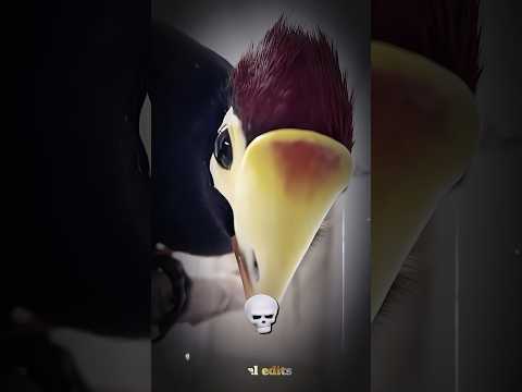 creepiest sound bird 😱 #edit #birds #shorts