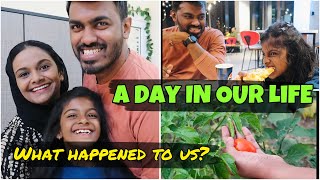 ഇങ്ങനെയൊക്കെയാണ് കാര്യങ്ങൾ | Life Update | A Day In Our Life | My Life Tube