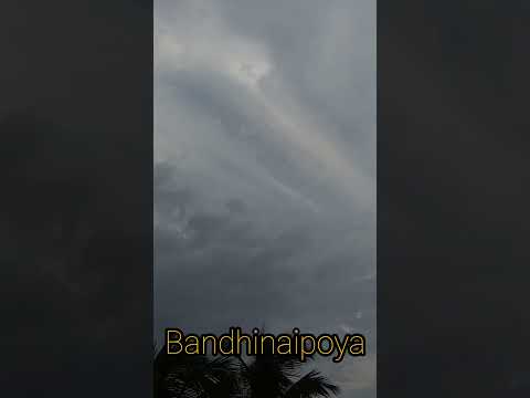bandhinaipoya #nature#birds#life#own#voice#ownvoice#songs#challenge#love#feel#ytshorts#yt #shorts