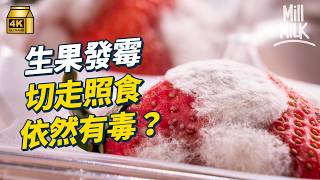 #MM｜生果發霉切走都可能有毒？直闖化驗室 測發霉生果剩餘部分有幾污糟！霉菌肉眼未必可見 變腍發黑或已中招｜#Weekly_pedia #4K