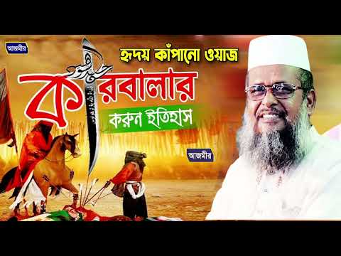 কারবালার হৃদয় কাঁপানো ওয়াজ । তোফাজ্জল হোসেন ভৈরবী । tofazzal hossain bhairovi | bangla waz |