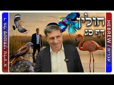 מרכז דף יומי - חולין דף סג. - ר' אלי סטפנסקי שליט"א