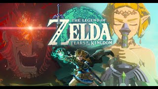 Riserbeck jugando Zelda TEARS OF THE KINGDOM no puedo mover un brazo #5