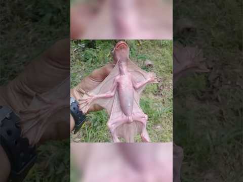 Редкие фотографии #история #фотографии