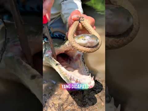 Mancing Dapatnya Malah Buaya!
