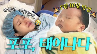 만나서 반가워, 포포야👼🏻💖 (제왕절개 리얼 후기, 후불 고통 시작...★)