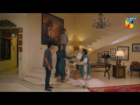 Areesha Mil Gayi Hai Mubarak Ho.! #mirzazainbaig #minsamalik - Mohabbat Reza Reza - HUM TV