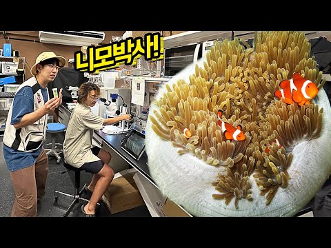 니모 연구의 모든 것! 오키나와 마린스테이션 탐방기 [EP7 오키나와]