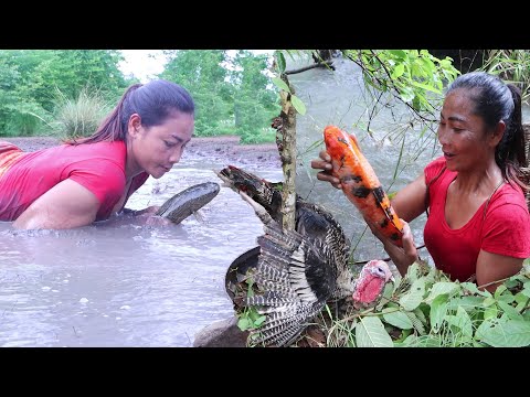 Catch fish in the mud lake, Woman rescue turkey, Chicken curry & Bamboo shoot, Catch Snail to Boiled