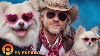 TÍTULO POTENCIAL: "LOS CACHORROS GEMELOS" | PELICULA COMPLETA EN ESPANOL LATINO DE FAMILIA