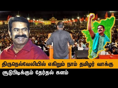 இதுதான்டா சீமான்..! திருநெல்வேலியில் எகிறி அடிக்கும் நாம் தமிழர் | NTK | Ammu News