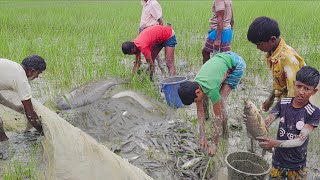 গড়া জাল মটকা চিংড়ি বোয়াল রুই মাছ ধরা হচ্ছে। Bangladesh fishing video। মাছ ধরার ভিডিও। Fish catching 