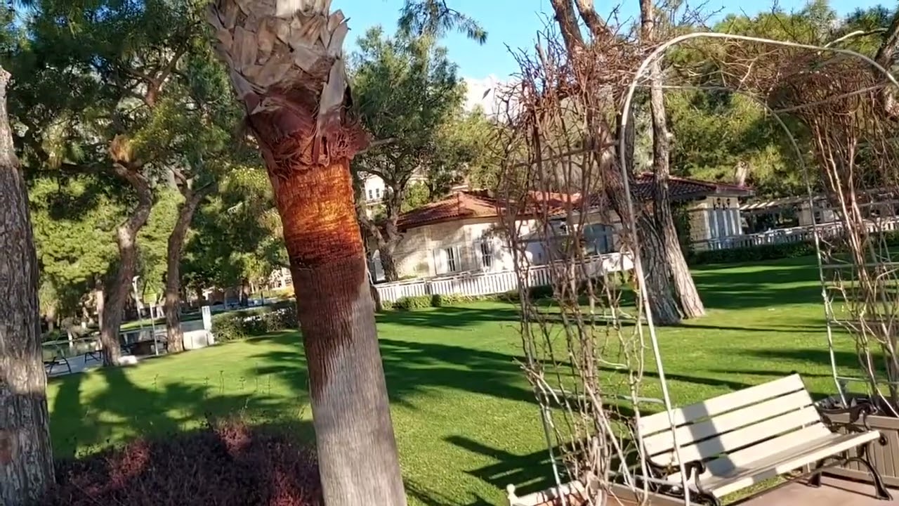 Akka Antedon Hotel 5 как нас встретили в период карантина