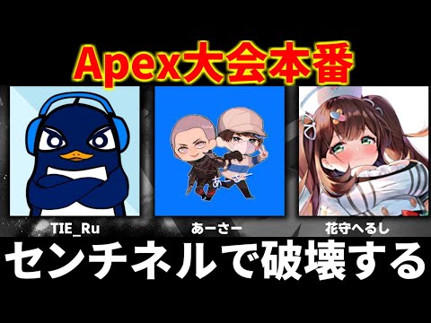 Apex大会本番！センチネルで全員破壊する | TIE Ru,あーさー、花守へるし