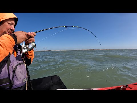 LA LLEVADA DE ESTE GRAN PEZ NOS SORPRENDE PESCANDO EN EL MAR