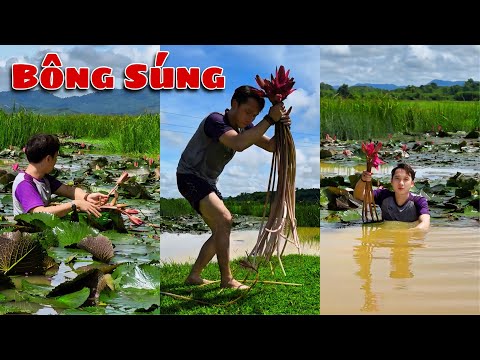 Bữa Cơm Canh Chua Hoa Súng Đặc Biệt, Bí Mật Chủ kênh Trải nghiệm Cuộc Sống Dành Cho Bà Giữa Trời Mưa