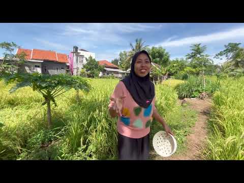 Vlog kegiatan pagi ini #video  #comedy