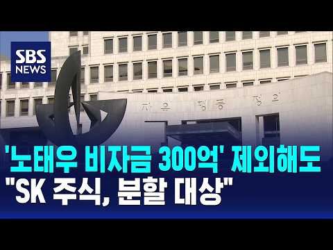 '노태우 비자금 300억' 제외해도.."SK 주식, 분할 대상" / SBS