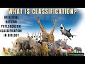 Classification Systems in Biology
