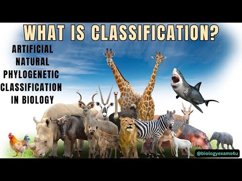 What is Classification? Artificial, Natural and Phylogenetic Classification in Biology with examples