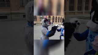 Freude | Frühlicher Osterwalk #1 | Hallescher Furmeet | 9. April 2023 | #Furry | Tankii