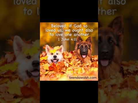 #worshipmusic #gospelmusic #christianmusic #autumn #dog #dailybibleverse #petlover