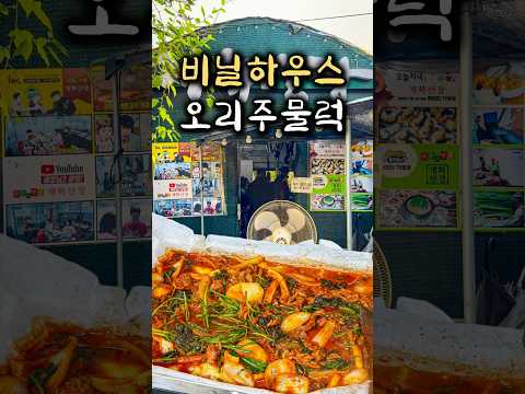 서울 아닌 것 같은 비닐하우스 오리주물럭