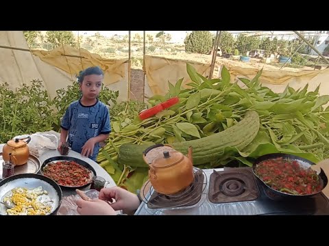 الزيتونة بتعطي زيت وبنت الاصل بتعمر بيت🏡حصاد الخضرة من مزرعتي وطبخة شعبية كنت بزعل اذا امي تطبخها😅