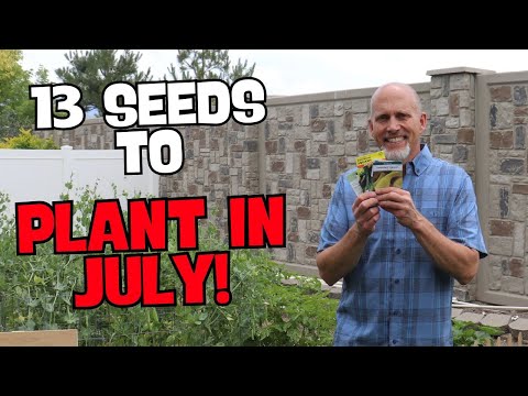 13 Crops You Can Still Plant In July