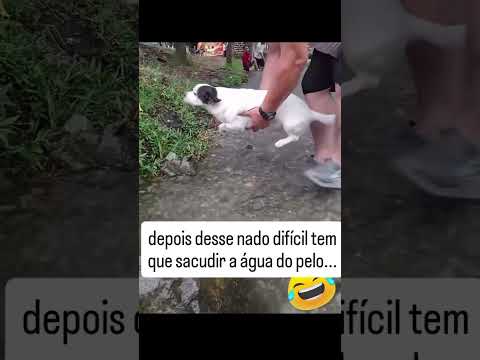 Ele sacudindo no final 😂❤️