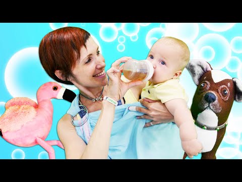 ¡Aprende los nombres de las frutas y prepara ponche con el pequeño Karl!