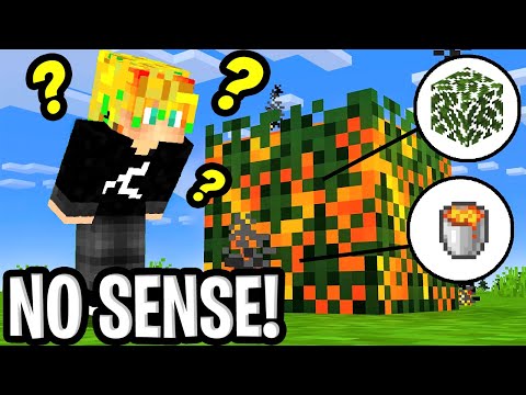 10 COSE NOSENSE di MINECRAFT ita