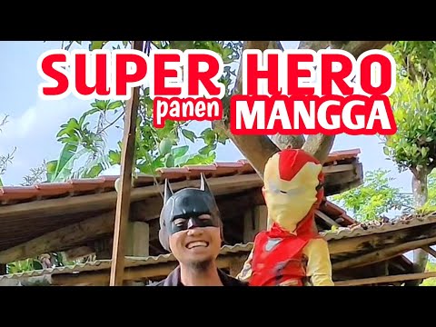 SUPER HERO PANEN MANGGA. MANTAP !!!