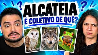 DESAFIO: É O COLETIVO DE QUÊ? Contra Marcella!