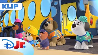 🚌 Szkolny autobus | Psia Brygada | Disney Junior Polska