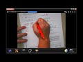 Fractions and Mixed Numbers Operations