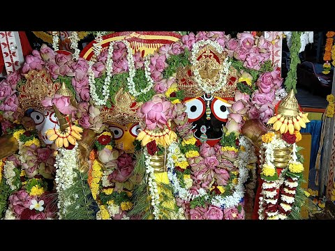 Jay Jagannath 🙏 Kharghar Jagannath Temple || खारघर में जगन्नाथ रथ यात्रा 2025 🚩🙏