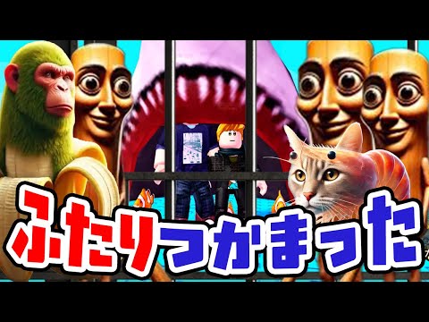 イタリアンブレインロットにつかまった2人（アナケナとダーくん）トゥントゥントゥンサフール　チンパンジーニバナニニ　トリッピトロッピ　バレリーナカプチーノ