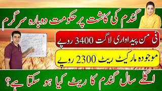 Wheat price situation in 2026|Govt planning to reduce inputs prices| گندم کی اگلے سال کیا قیم ہو گی؟