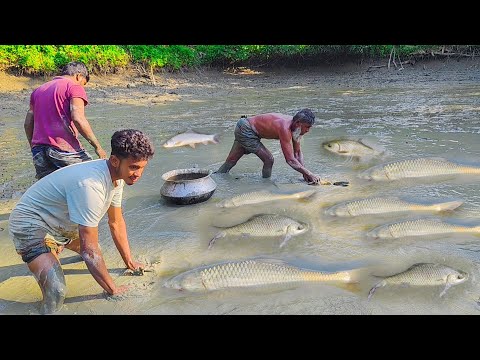 সকাল সকাল গ্রামের পুকুরে মাছ ধরার উৎসব জমেছে। Big fish hunting by village pond। Fishing video 2024